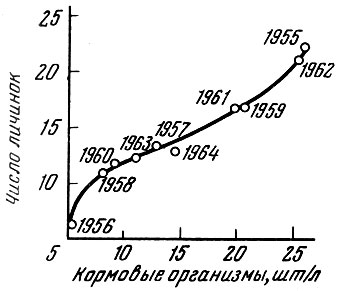 . 59.       1000 3       10   ( , 1961)