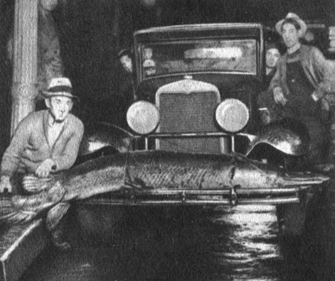 Из американской истории. Миссисипский панцирник, пойманный рыбаками Литл-Рока (штат Арканзас). Снимок сделан около 1928 года
