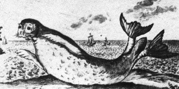 Морское чудовище. Это существо, как говорят, появлялось на берегах Адриатического моря около двухсот лет назад