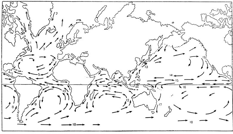 Океанические течения. Течения в Индийском океане показаны в период северо-восточных муссонов; во время юго-западных муссонов картина меняется. 1 - Лабрадорское течение; 2 - Восточно-Гренландское течение; 3 - Северо-Атлантическое течение; 4 - Гольфстрим; 5 - Северное акваториальное течение; 6 - Канарское течение; 7 - Южное акваториальное течение; 8 - течение Гумбольдта; 9 - Бразильское течение; 10 - Бенгельское течение; 11 - Южное акваториальное течение; 12 - Западно-Австралийское течение; 13 - Куросно; 14 - Северное акваториальное течение; 15 - Противотечение; 16 - Южное акваториальное течение; 17 - Восточно-Австралийское течение; 18 - Течение Западных Ветров; 19 - Калифорнийское течение
