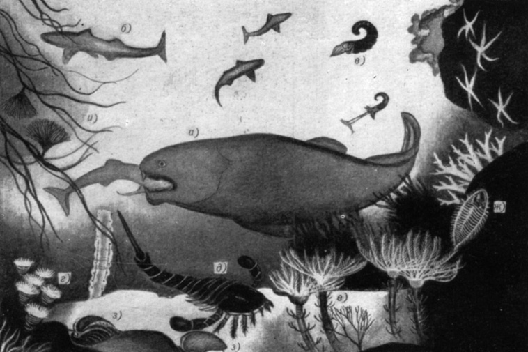 Жизнь в девонский период. а - рыба Dinicthys; б - три представителя акулоподобных Cladoselache; в - древний головоногий моллюски; г - чашеобразные кораллы; д - эвриптеррид; е - группа морских лилий криноид; ж - трилобит, вабирающийся на скалу; з - прикрепившиеся к скале брахиоподы; и - колония граптолитов