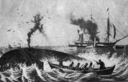 Охота на кита в прошлом веке