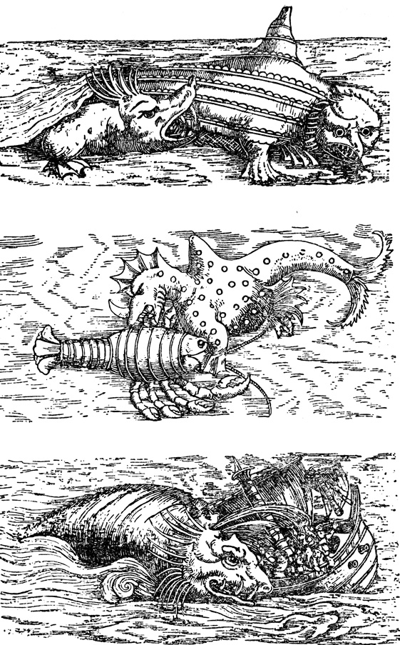 Изображение кита в эпоху Возрождения. Из книги Геснера (1558)