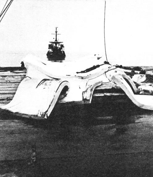 Рис. 33. Опустевшая люлька... Фото U. S. Navy